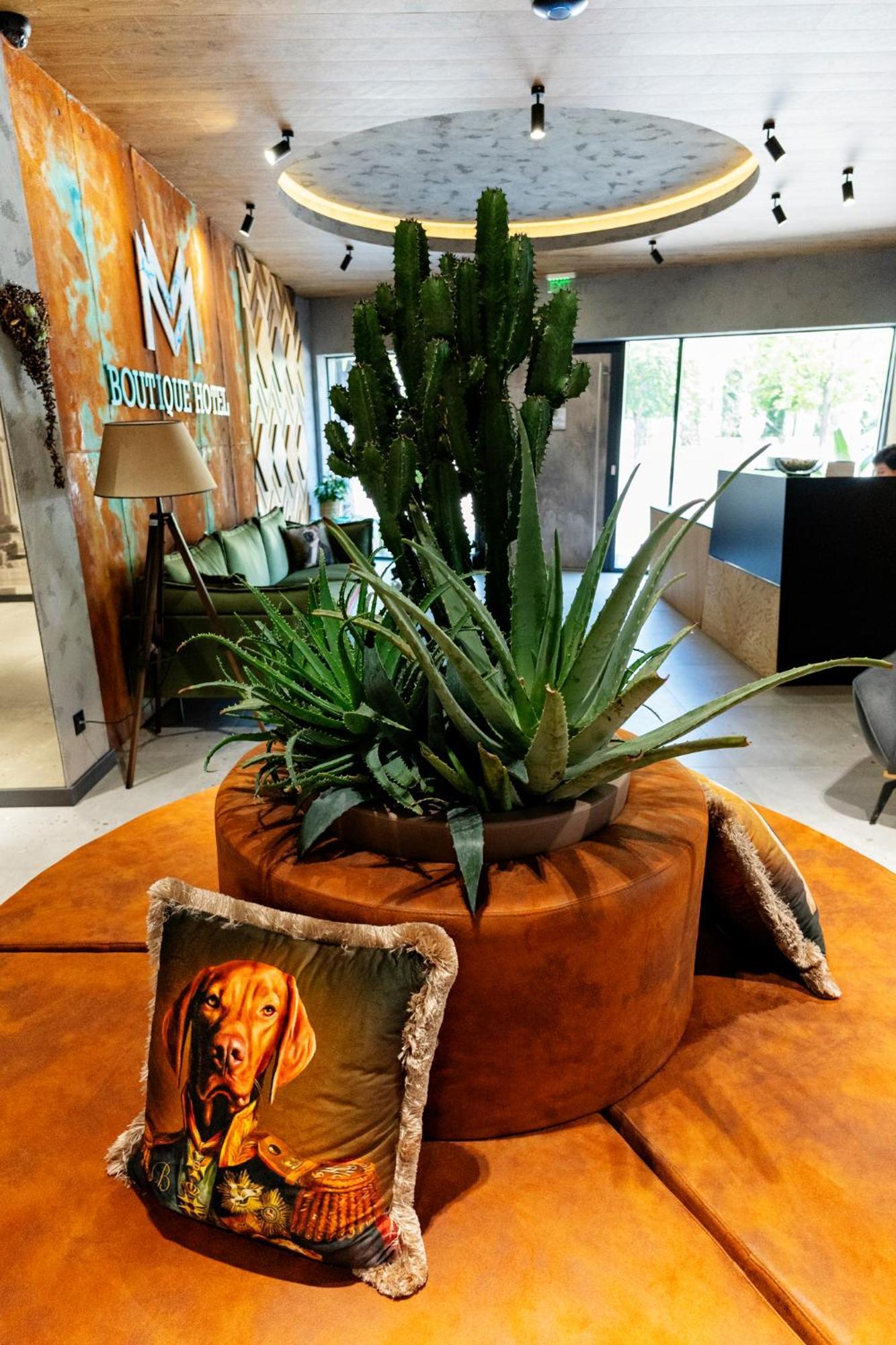 Mm Boutique Hotel 布尔加斯 外观 照片